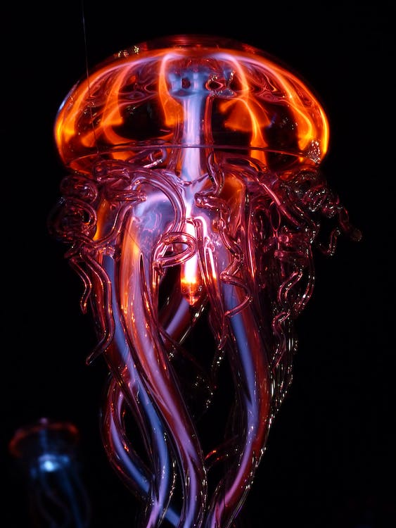 jellyfish lamp